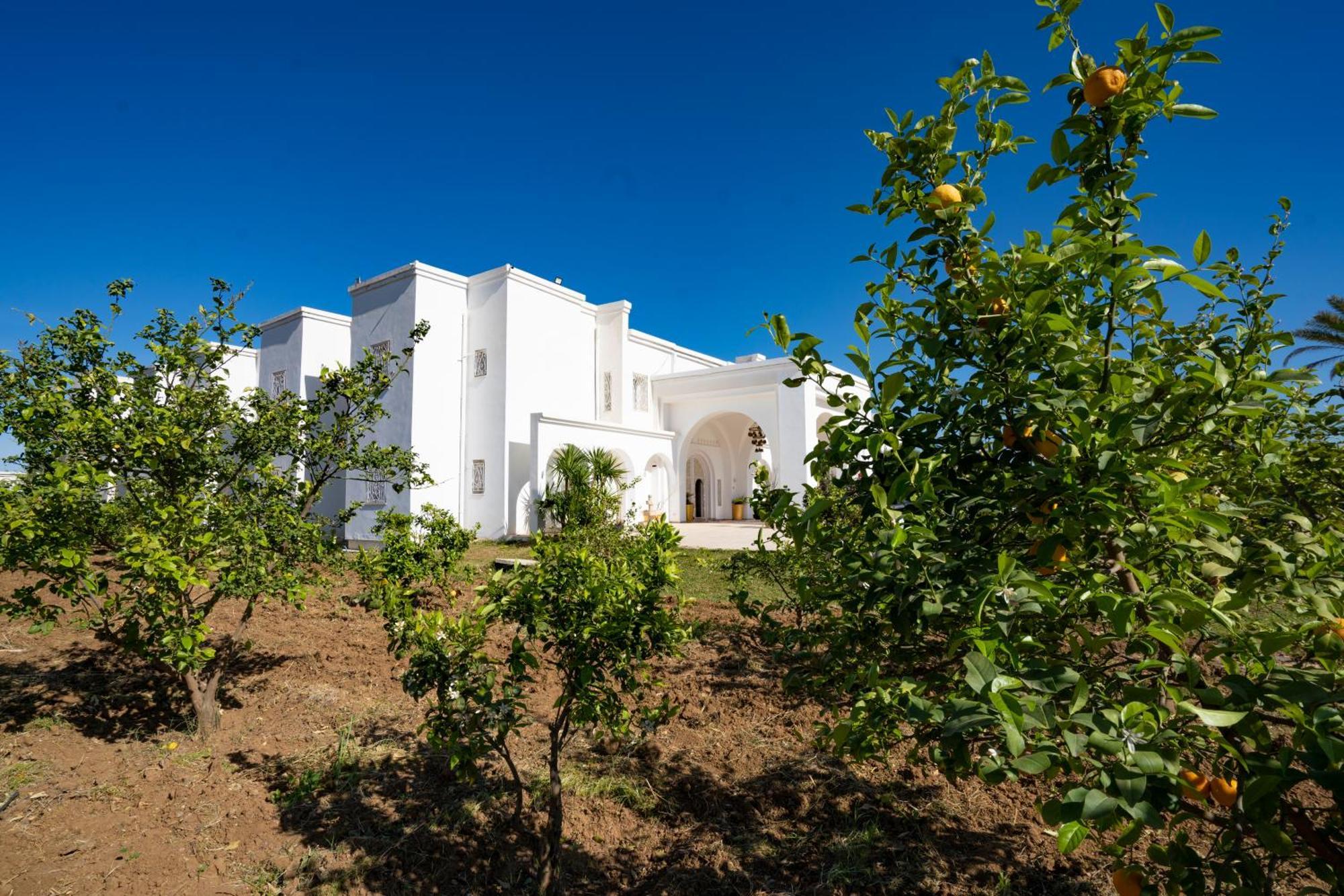 Dar El Molk Concept Hotel And Spa Mornag Exteriör bild